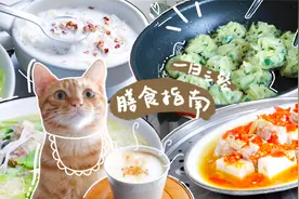 《中国居民膳食指南》一日三餐视频封面