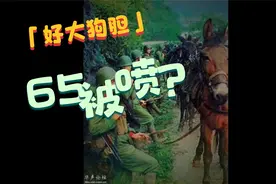 65式被喷昭和军服？营销号好大的狗胆视频封面