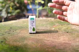 养花叶片长了黑斑？园艺师教你，用黑斑病专用，去除黑斑更快速视频封面