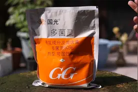 养花长了病菌怎么办？园艺师教你，就用多菌灵，什么花都通用视频封面