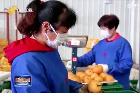 菏泽扶贫车间生产忙，贫困户实现家门口就业，一个月最少赚3000千视频封面