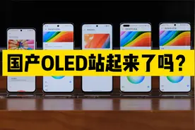 国产OLED屏幕站起来了吗？视频封面