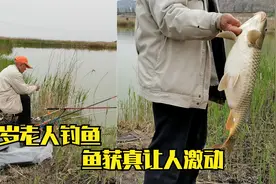 81岁老人废鱼塘边钓鱼，一人控制两个杆，看了鱼获后让人激动视频封面