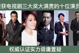 获电视剧三大奖大满贯的十位演员,电视剧天花板，殷桃张嘉益上榜视频封面