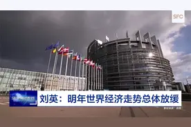 刘英：明年世界经济走势总体放缓视频封面