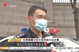 东莞：小偷入室盗走30万财物 民警跨市追捕缉赃视频封面