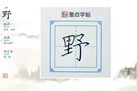 名师荆霄鹏单字讲解：野视频封面