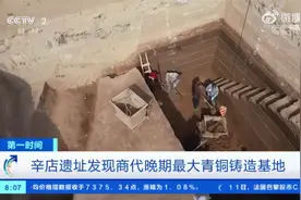 殷墟考古和甲骨文研究成果和进展发布视频封面