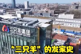 "三只羊"集团的发家史视频封面