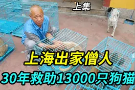 上海寺庙一位出家僧人，30年来救助收留13000只狗猫视频封面