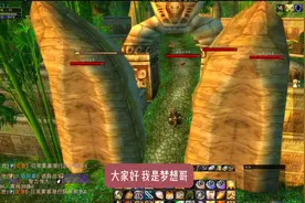 大xi？小xi？光掌？骑士必须掌握的团队减伤技能#魔兽世界视频封面