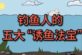 钓鱼人的5件“诱鱼法宝”，你用过几件？视频封面