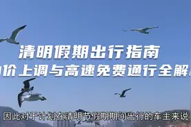清明假期出行指南：油价上调与高速免费通行全解析视频封面