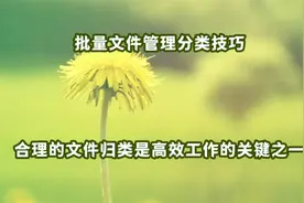 批量文件管理分类技巧，合理归类是高效工作的关键！视频封面