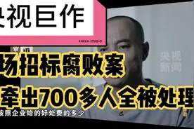 一场招标腐败案牵出700多人全被处理，评审专家按企业好处费多少视频封面