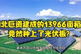 揭秘！湖北巨资建成的13966亩稻田竟然种上了光伏板？视频封面