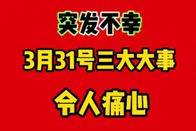 突发！3月31日三件大事，令人痛心！视频封面