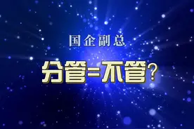 国企副总：分管=不管？如何破解“管与用”的真空地带视频封面