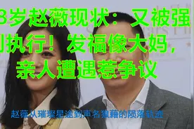 48岁赵薇现状：又被强制执行！发福像大妈，亲人遭遇惹争议视频封面