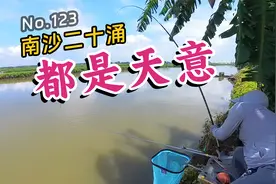 南沙二十涌钓咸淡水鱼，意外也是天意视频封面