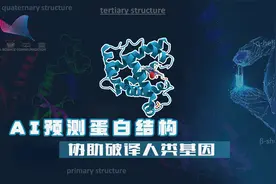 破译人类基因密码困难重重，AI预测蛋白质结构有何优势？视频封面