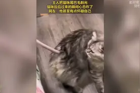 主人把猫咪尾巴毛剃光，猫咪反应过来的瞬间心态炸了视频封面
