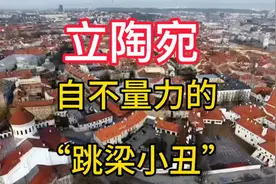 立陶宛：这个不自量力的“跳梁小丑”，背后会有怎样的故事？视频封面