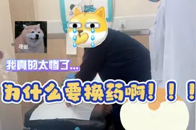 "收手吧 大哥！外面全是医生"丨花臂大哥得知菊姐姐来换药秒怂...视频封面