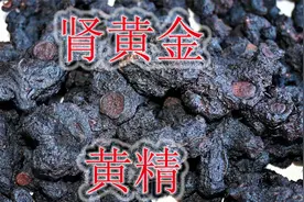 深山野生“黄精”是个宝，九蒸九晒是“肾黄金”，泡茶泡酒直接吃视频封面