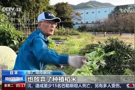 记者探访日本东广岛市 驻日美军基地附近水体污染物超标300倍视频封面