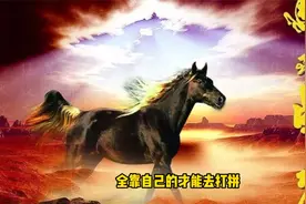 十马九不全，属马人“最命苦”的出生月份，你家有吗？别再骗自己视频封面