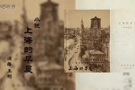 小说连播《上海的早晨 》69视频封面