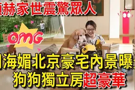 港娱曝铁证，张柏芝三胎生父就是谢霆锋，可怜王菲为情当尼姑？视频封面