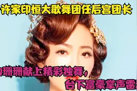 许家印恒大歌舞团后宫团长，白珊珊献精彩独舞，台下富豪掌声雷动视频封面
