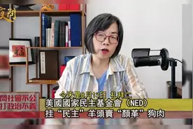 扒皮“世界毒瘤”美国国家民主基金会（NED）上集视频封面
