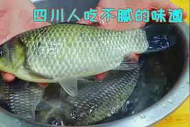 做鲫鱼还是四川人有一套，这样烧滋滋入味没小刺，意想不到的好吃视频封面