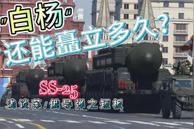 “白杨”还能矗立多久？视频封面