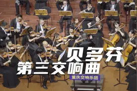 贝多芬《第三交响曲》视频封面