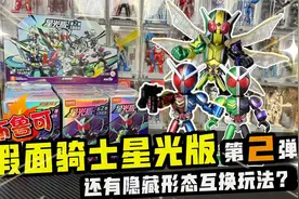 布鲁可假面骑士星光版！载具登场！双骑还能实现形态互换！视频封面
