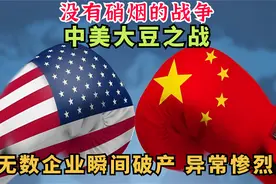 中美大豆之战，国内无数企业破产亏损上百亿，最后强势逆风翻盘视频封面