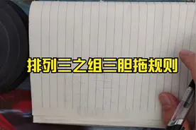 排列三之组三胆拖规则视频封面