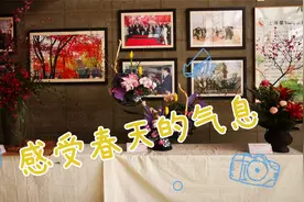 来看这场梅花插花艺术展 感受春天的气息视频封面
