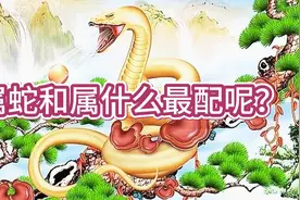 属蛇和属什么最配呢？ #属蛇  #生肖婚配视频封面