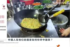 老外看中国街头路边摊炒饭，怒赞：中国厨师是东方掌握火焰的主宰视频封面