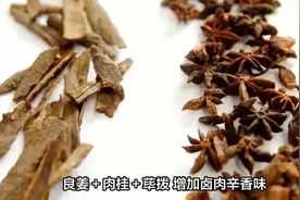 卤肉四十多种香料搭配法则，教你提香、去腥、上色用法，记得收藏视频封面