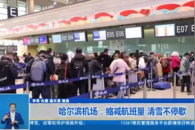 哈尔滨机场：缩减航班量 清雪不停歇视频封面