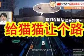 【中日双语】日本记者试坐北京的自动驾驶出租车，日本人一片惊呼视频封面