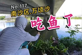 南沙野钓品种多，这里钓鱼一整天都不用晒，鱼还很好吃