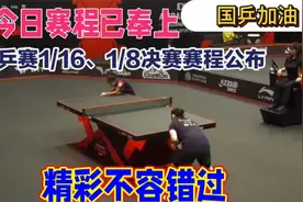 激动人心的世乒赛决赛赛程公布！视频封面