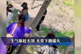 老人的菜地被游客踩坏，生气驱赶无效 无奈下跪磕头视频封面